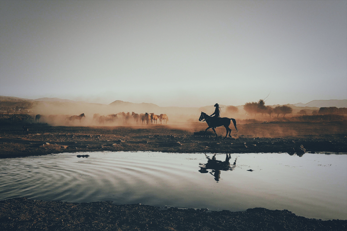 Cowboy